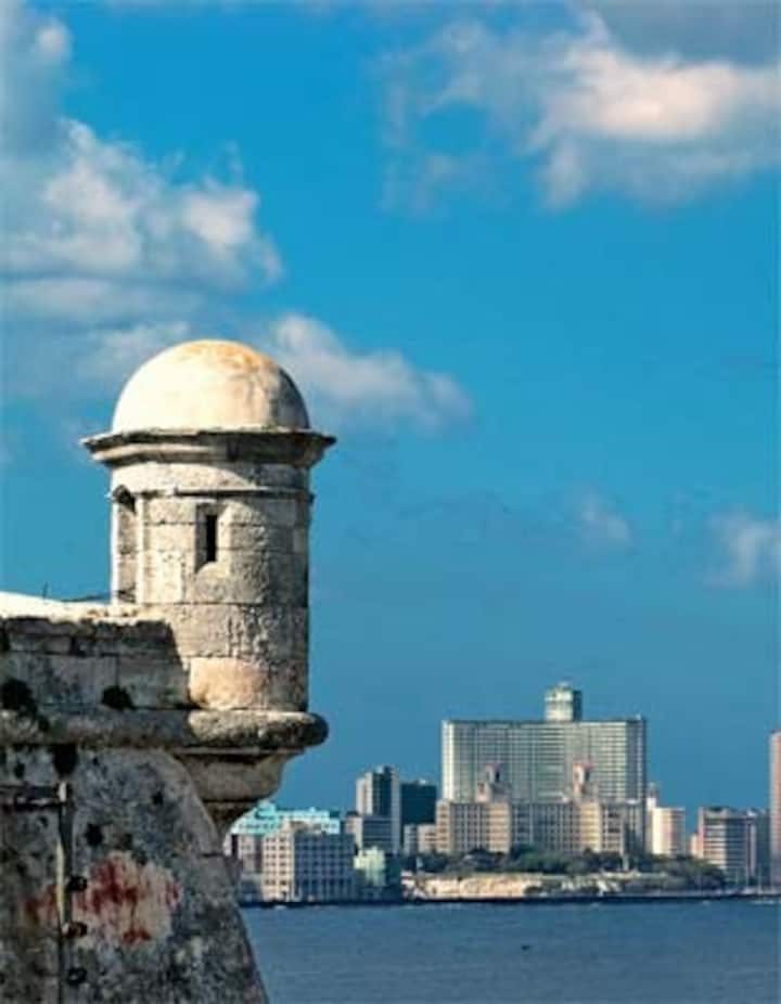 Цвят, румба и история