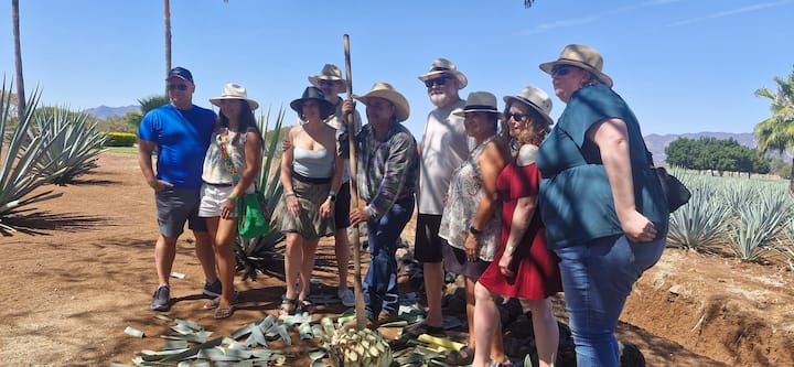 Ziara ya Tequila: Kuanzia Ardhi hadi Kwenye Kikombe