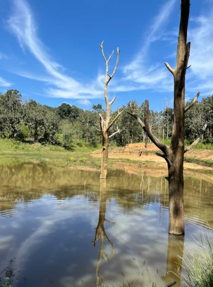 Джунглата Уайанад и културно изживяване с племена