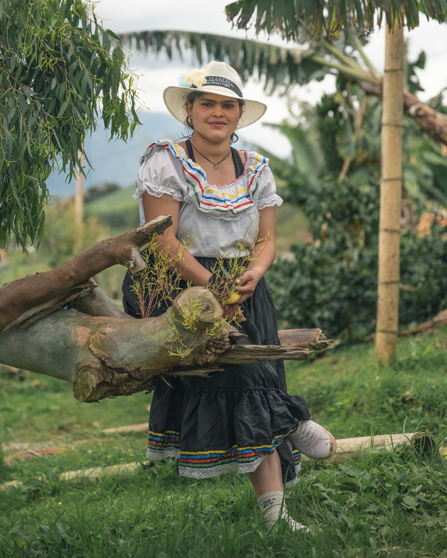 Medellin Specialty Coffee Farm experience · ☆4.6