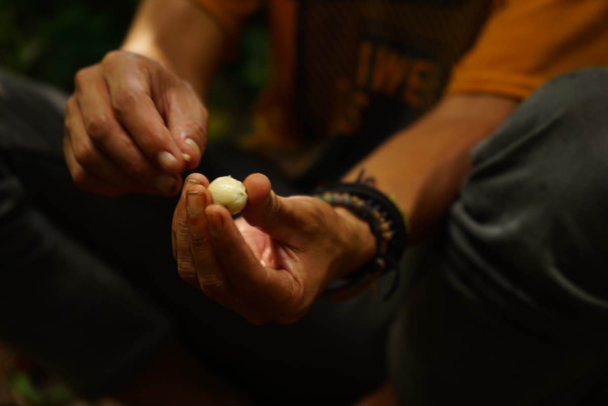 Discover Tetebatu Nature with a Local Guide