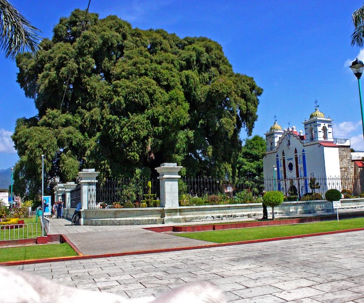 Hierve el Agua, Mitla, Tule, Teotilán dhe Mezcal