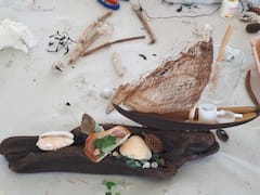 יצירה אקו-אמנותית סביב עץ צף