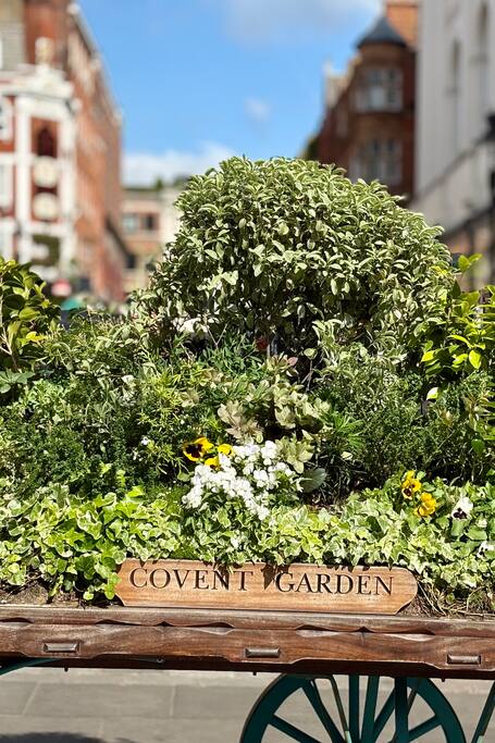 Secrets of Covent Garden
