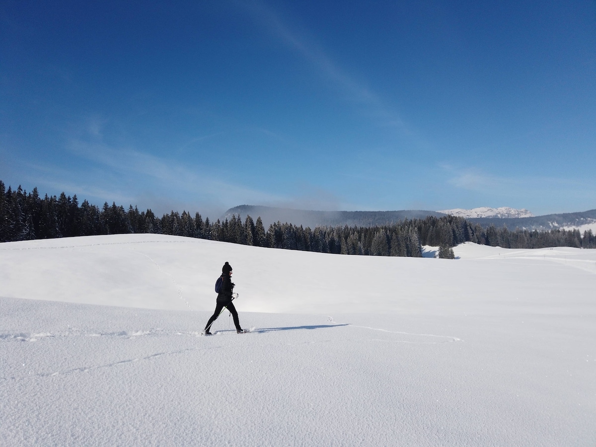 Guided snowshoeing on the Glières Plateau