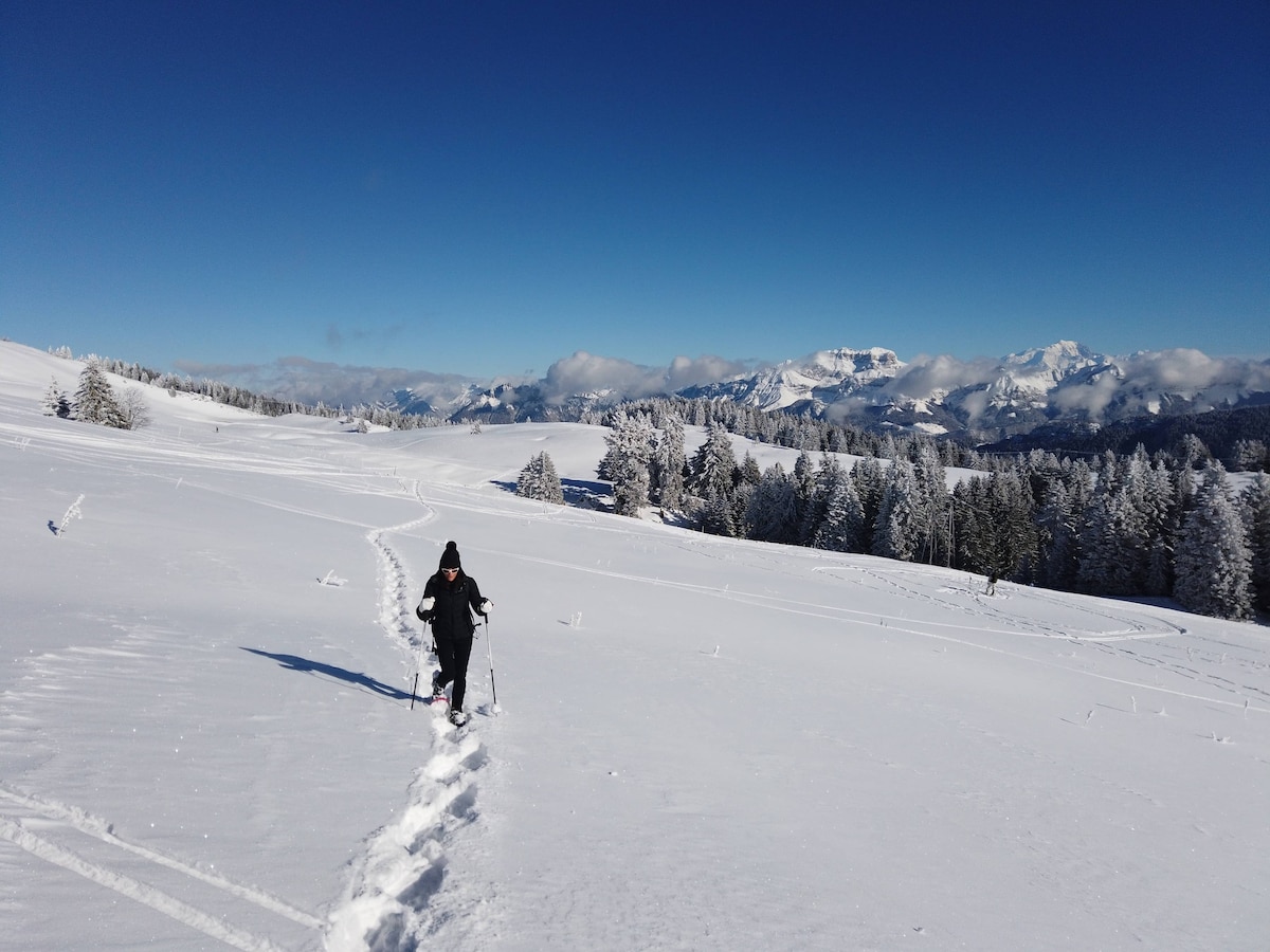 Guided snowshoeing in Semnoz