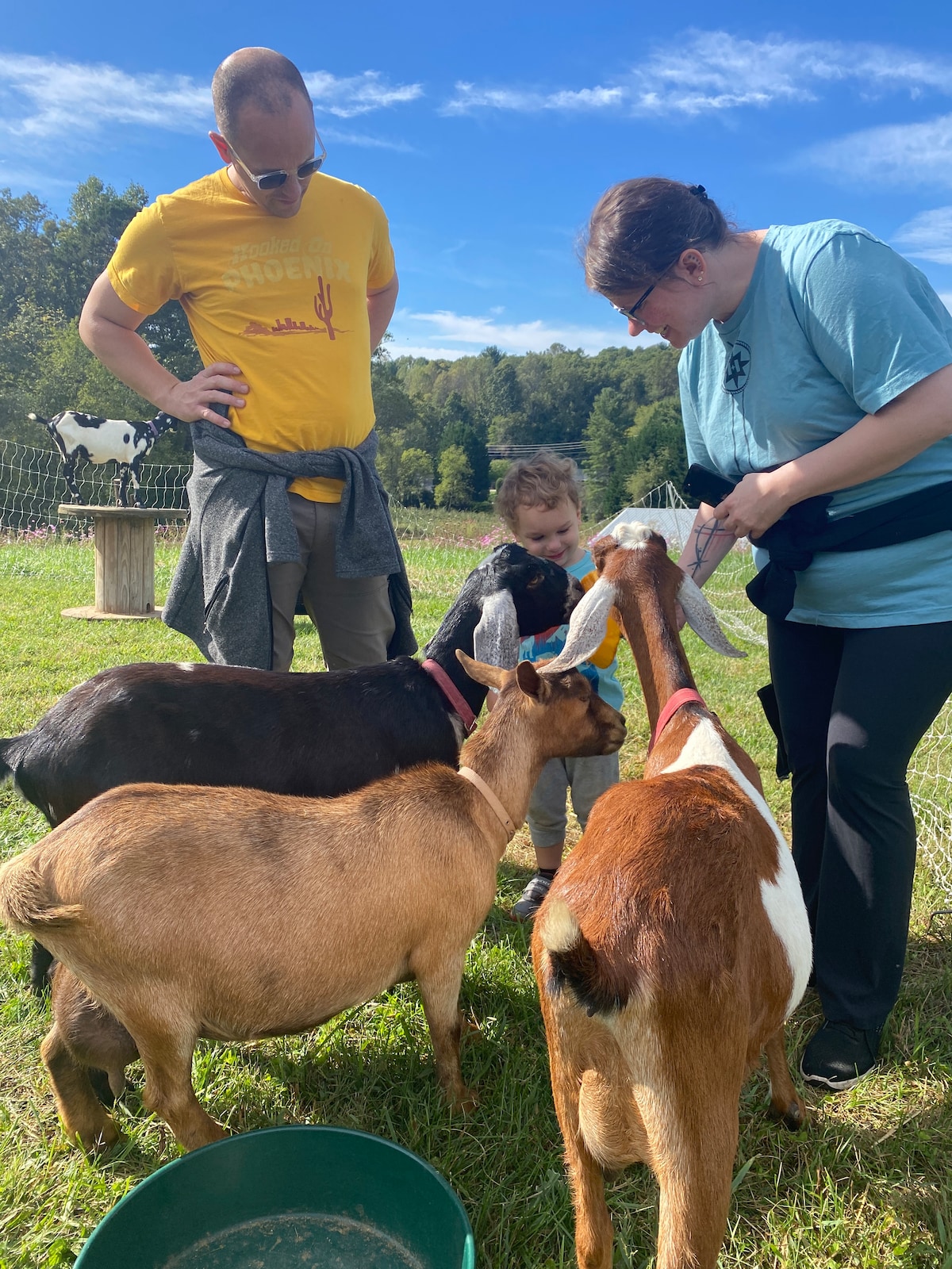 Goat Snuggle Session
-Meet Mini Goats On The Farm-