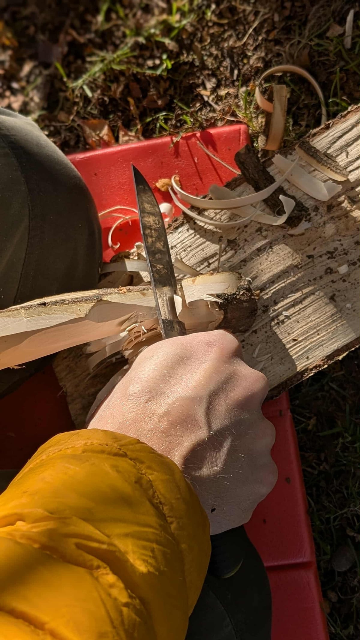 Learn how to make a campfire in the woods