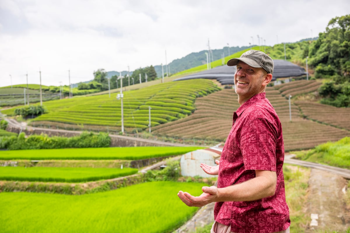 Wazuka Tea Journey: Walk, Tasting & Tea Pizza