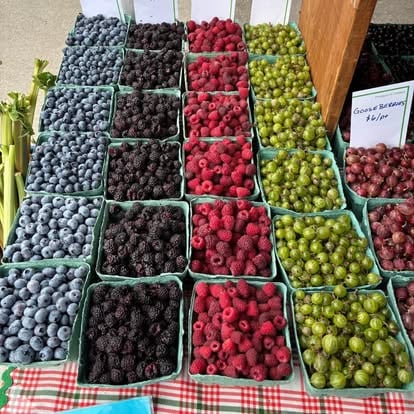 Farm-to-Glass: Fruit Wine, Cider & Spirits Tour