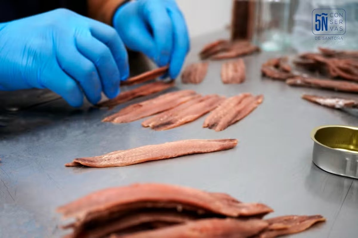 Discover the best anchovy of Santoña: Conservas 5Ñ