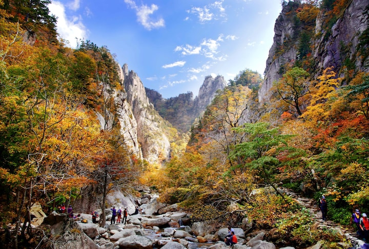 Serenity of Nami Island & Sublime Mt Seoraksan