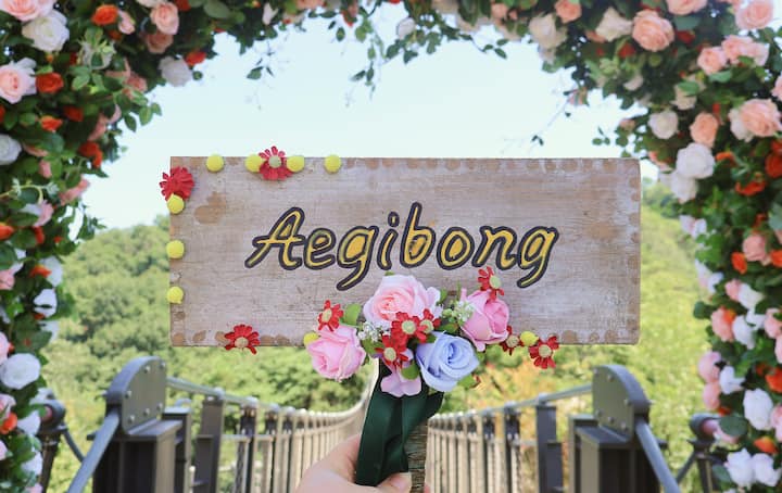 Aegibong Dmz y día histórico de Corea