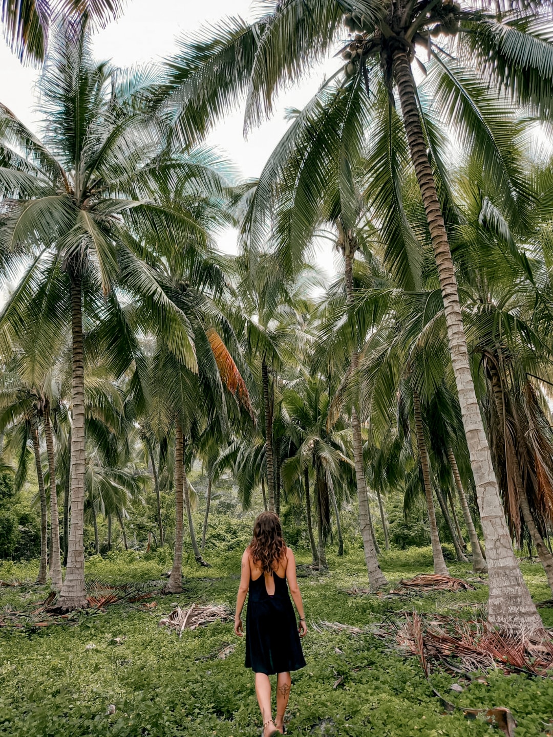 Explore Tayrona Park and Hike to Cabo San Juan