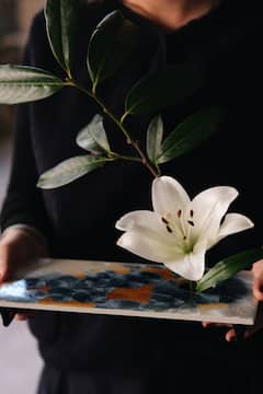Arte Floral Japonés IKEBANA