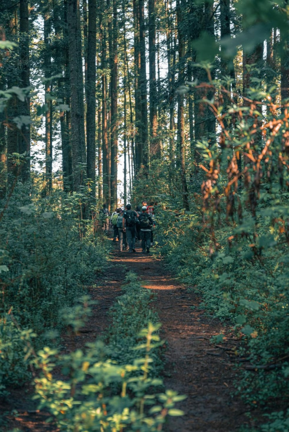 Hiking, beautiful views, and coffee tasting