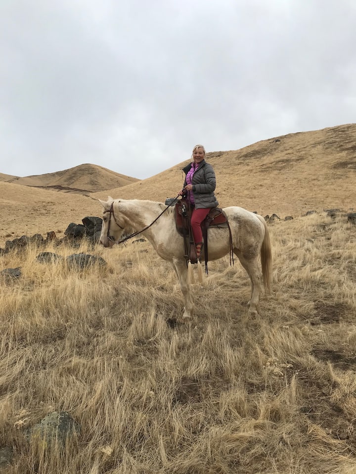 Paseo a caballo en el rancho Sequoia Foothills