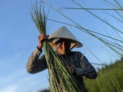Explora el campo y la artesanía tradicional en medio día