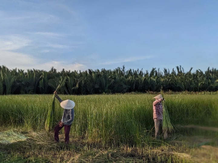 Demi-journée à la campagne et artisanat traditionnel
