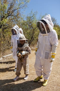Taste fresh honeys and meet the bees at Two Hives