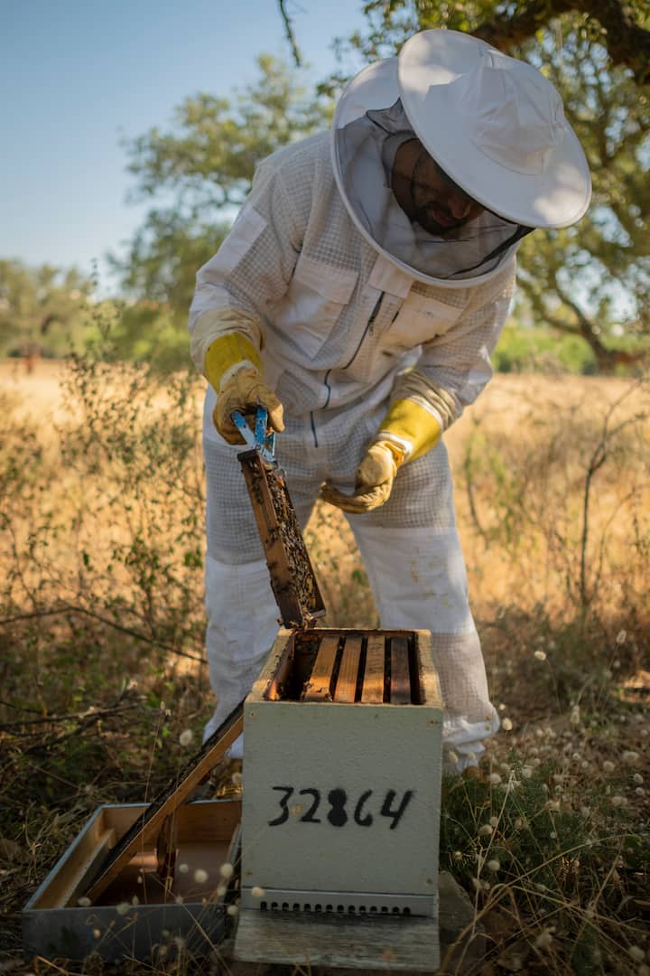 Пчелите и нивните амајлии