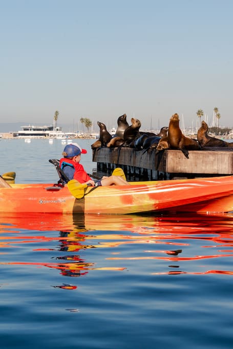 Kayak in Beautiful Redondo Beach