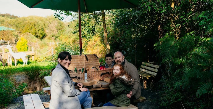 Уникално трекинг изживяване с алпака в Северна Ирландия