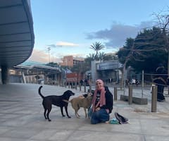 סיור יומי בפירמידות סקארה ודאשור