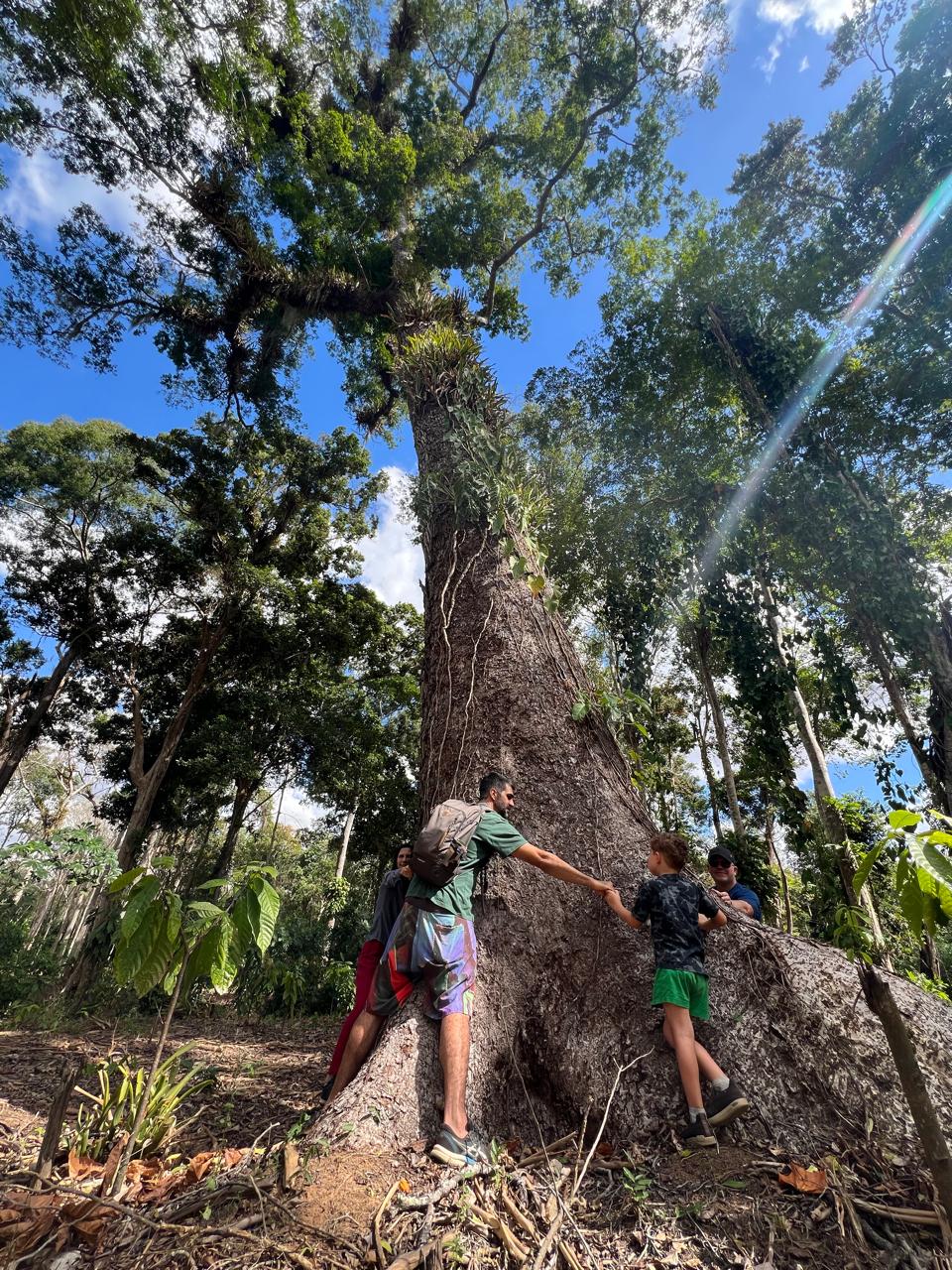 Getting to know Cacau Cabruca on the banks of the Doce River