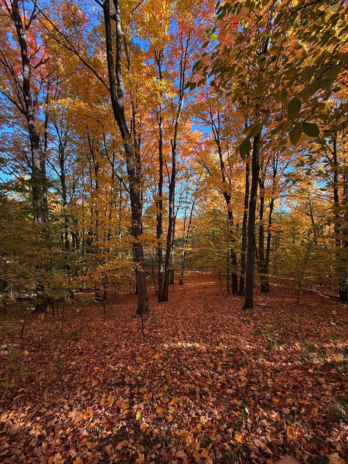 Ridges leads Backcountry Ski & Hike Tours