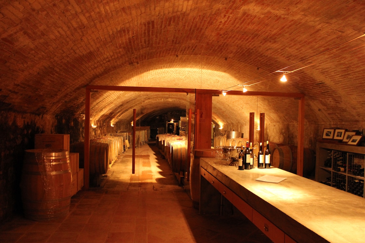 Tour and Tasting: Château de Rhodes