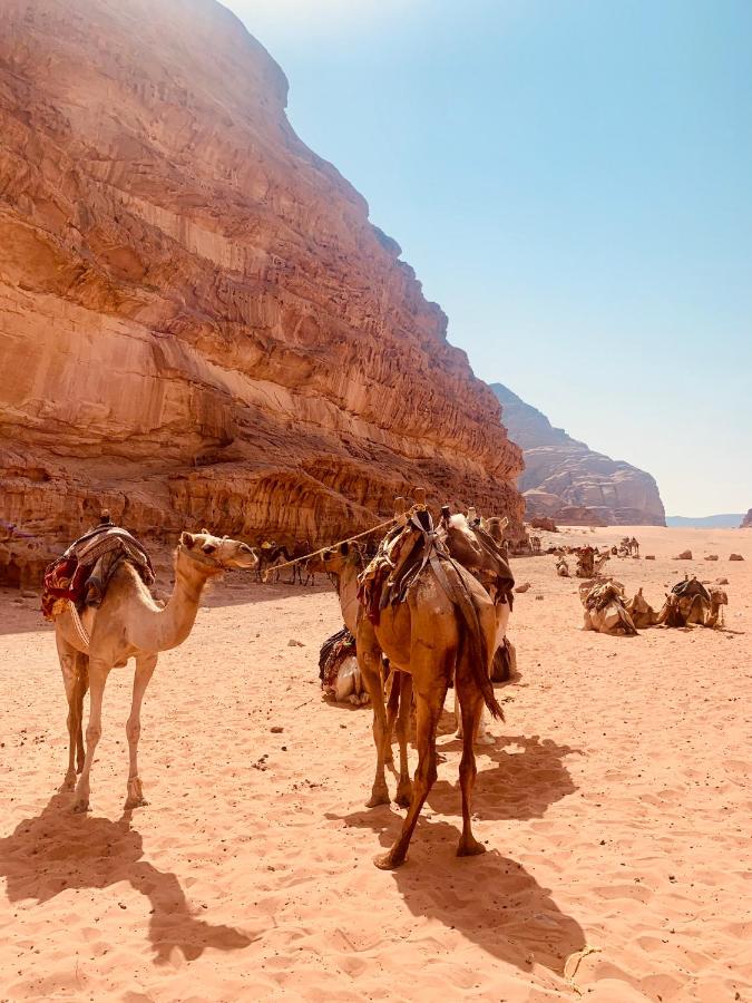 Wadi Rum Camel Ride at Sunrise/Sunset