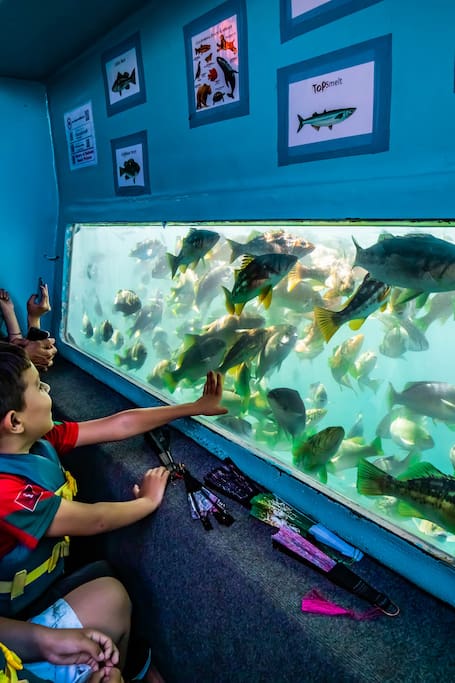 Underwater adventure tour on the glass bottom boat