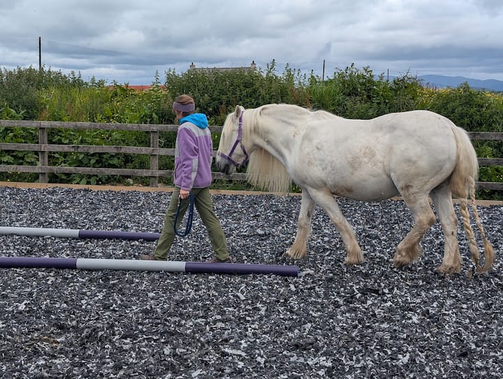 Осъзнатост с понита и природата