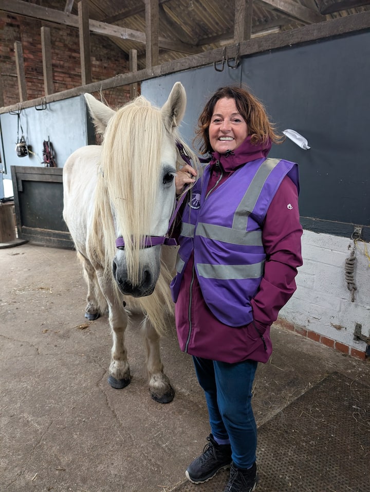 Осъзнатост с понита и природата