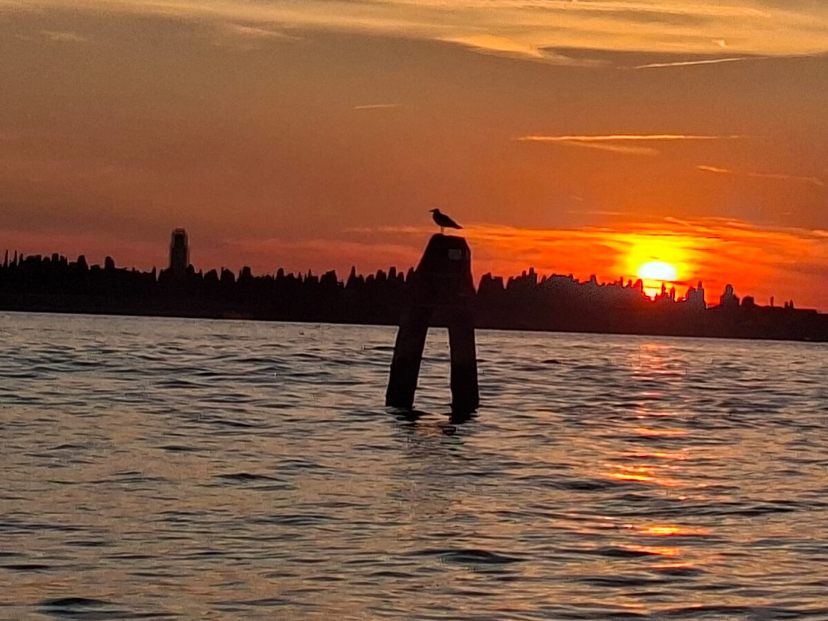 Venice boat tour through enchanting canal islands