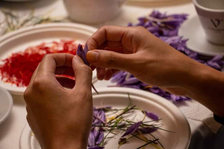 Тура на шафранот
автентично искуство во Абруцо