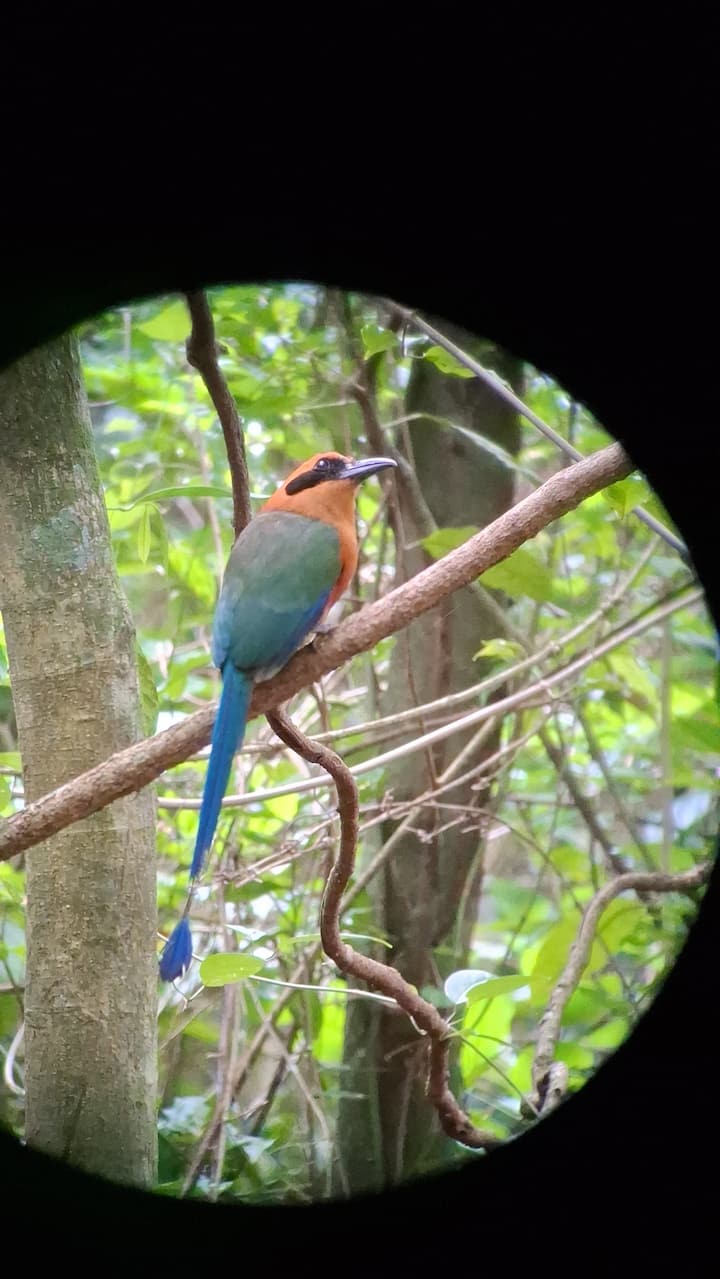 Visite privée de la faune