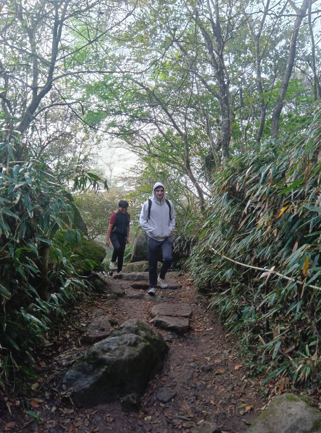 Nature walk in Mt Tsukuba, English support