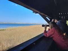 Nature Walk & Wildlife Tour on Sobieszewo Island