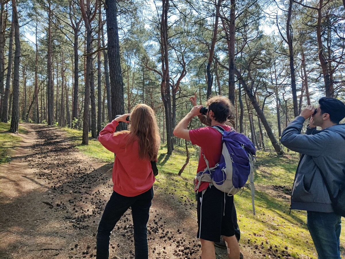 Nature Walk and Wildlife Tour in Sobieszewo Island