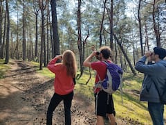 Nature Walk & Wildlife Tour on Sobieszewo Island