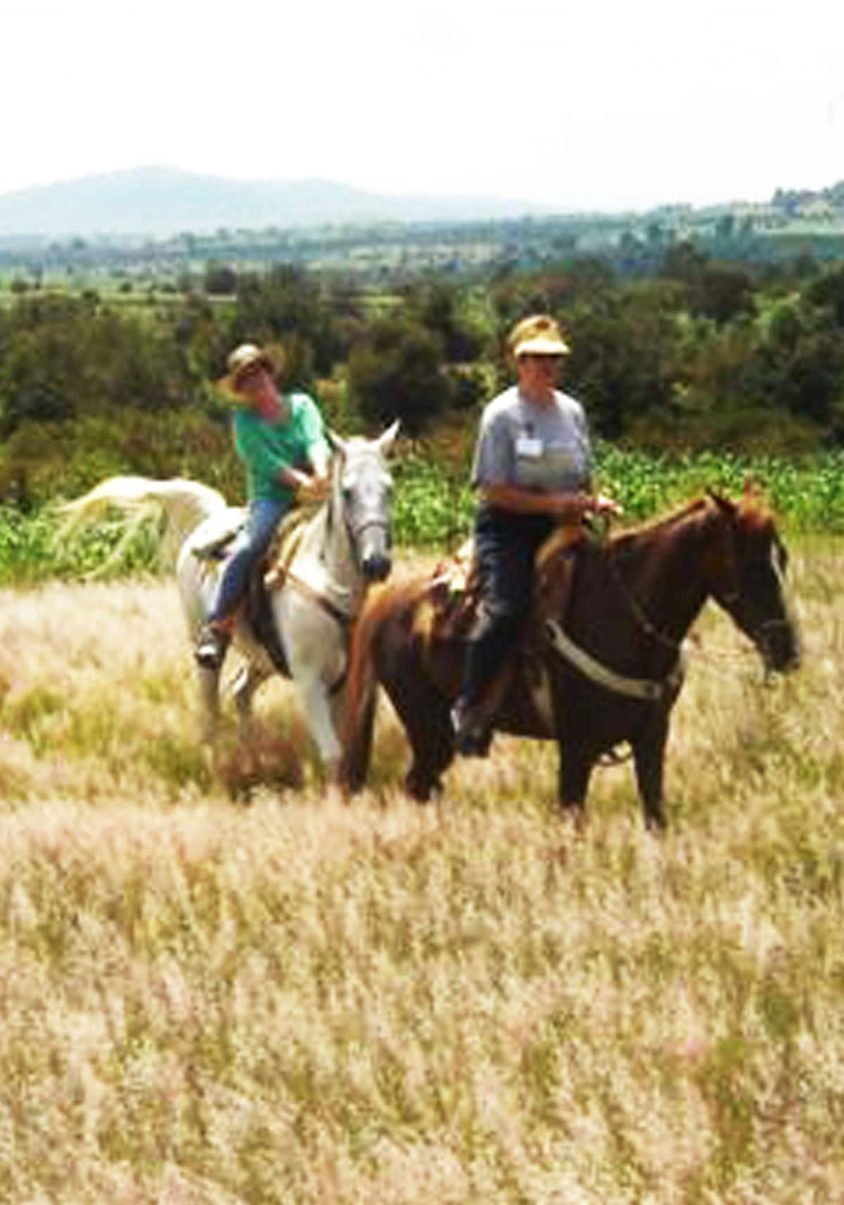 Horseback riding at the foot of the volcanoes