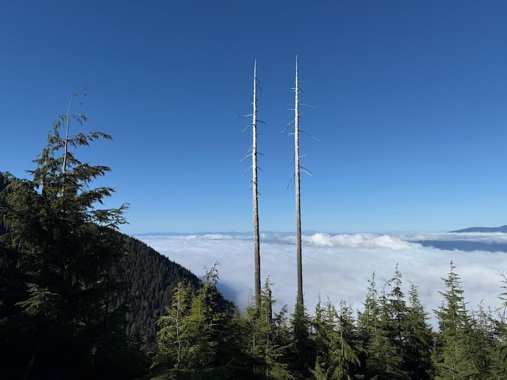 Планински пътеки и кафе приключение край брега