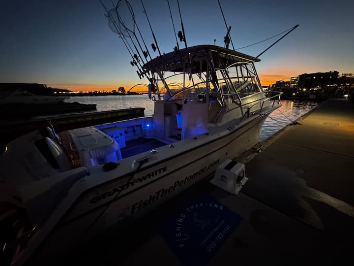 Peshkim privat me çarter në DC