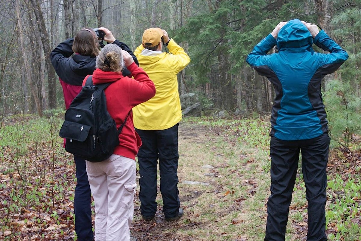 Birding on the Eastern Promenade