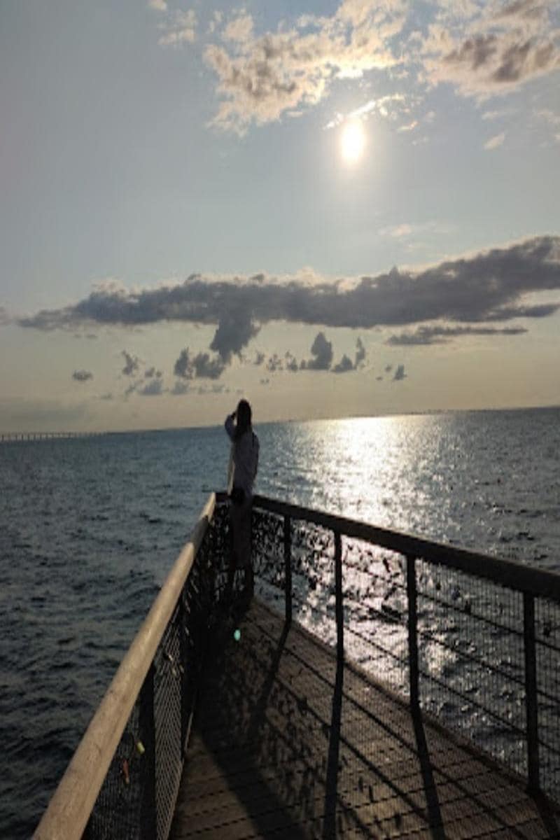 Turning Torso-Walking tour with Swedish fika