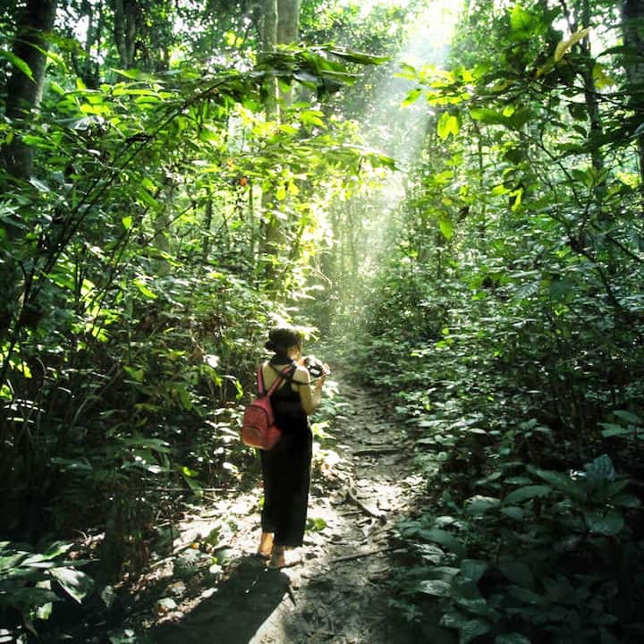 კუკფუონგის უდაბნო