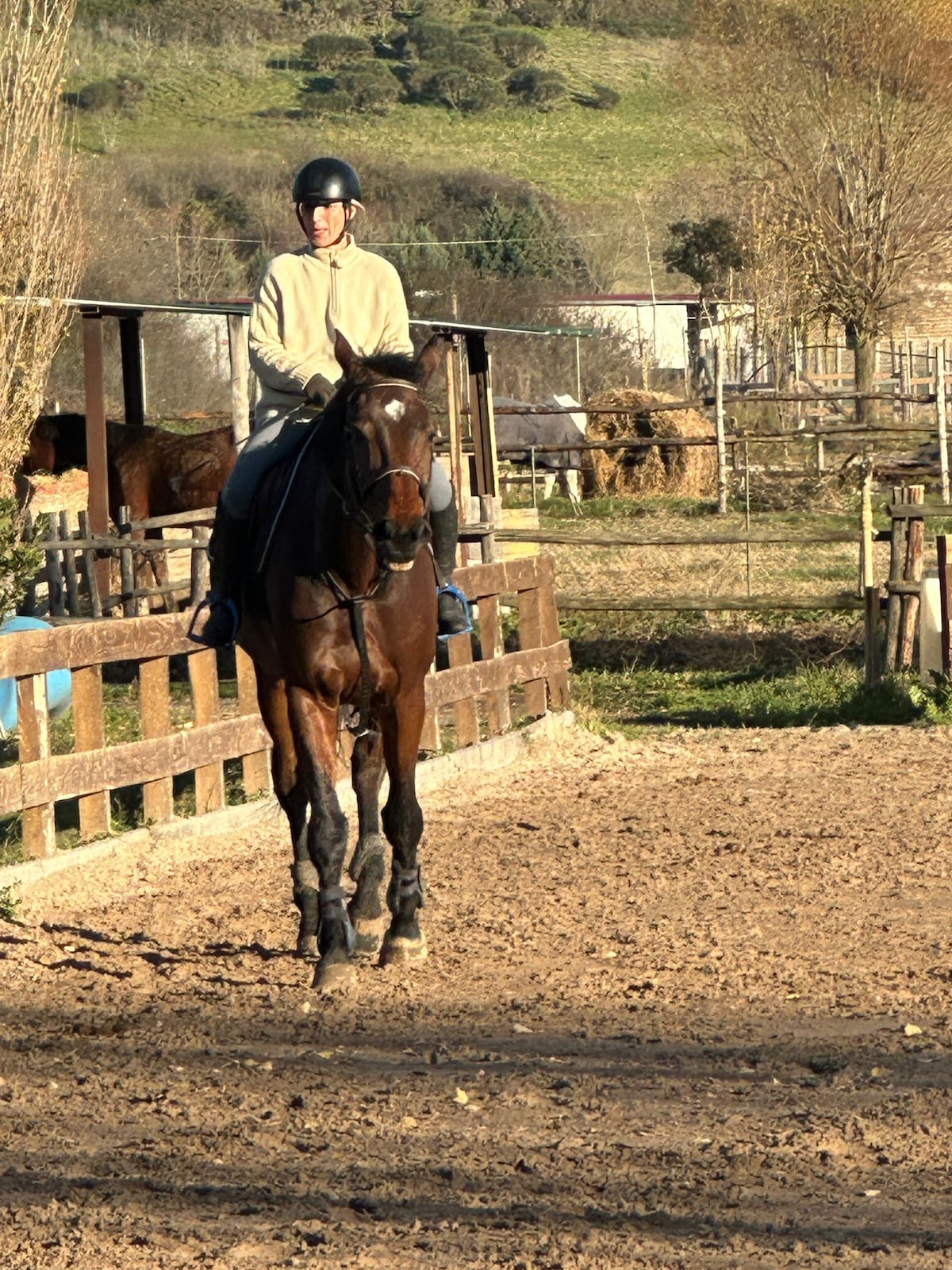 Ride in a riding school in the countryside