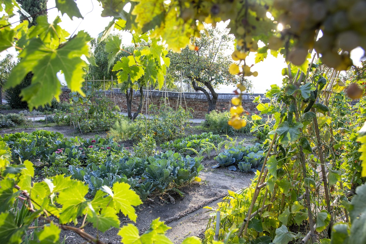 Look beyond the Infinite and visit the Garden on the Hill